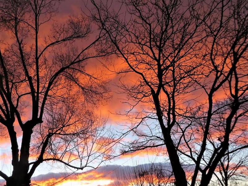 Photos courtesy Elaine Quilici. Carson City sunrise on Saturday morning.