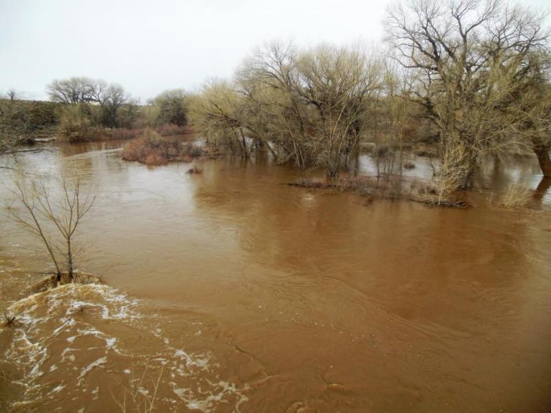 Photo by Brett Fisher. The Carson River last reached major flood stage on Jan. 10.