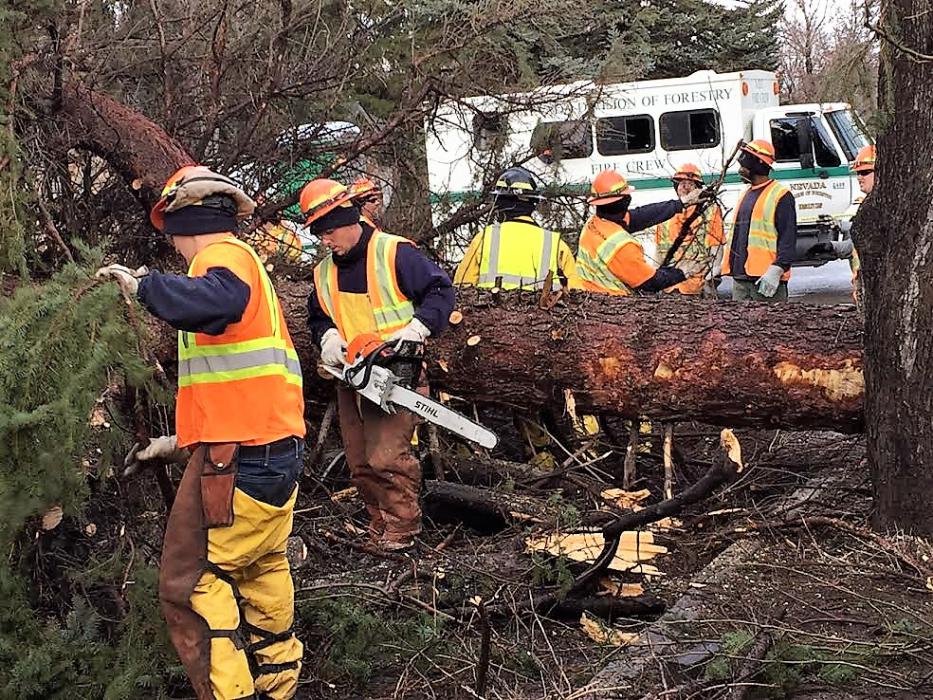 Photos courtesy Municipality of Carson City. Nevada Division of Forestry crews work to remove a downed tree from a city street.