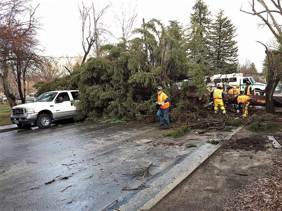 NDF crews work to clear a downed tree from a city street.