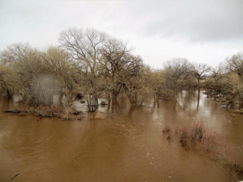 Photo by Brett Fisher. The Carson River above flood stage in East Carson City on Jan. 10.