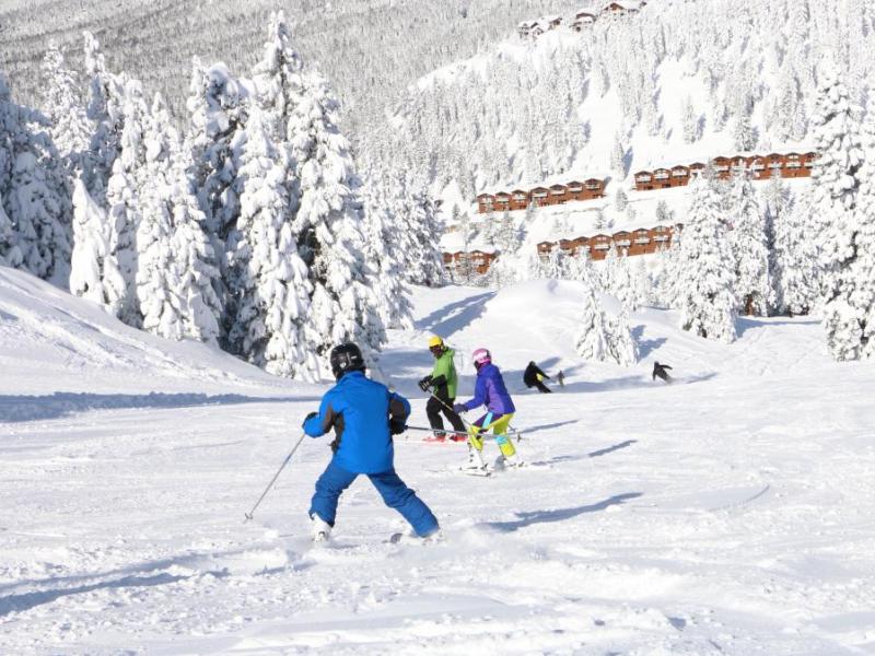 Diamond Peak Resort.