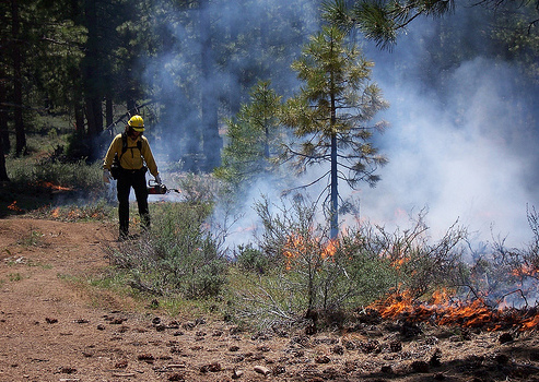 U.S. Forest Service file photo of prescribed fire operations.
