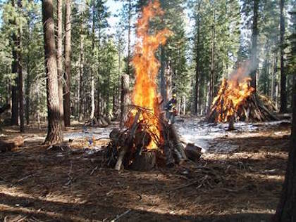 File photo of burn piles in the Lake Tahoe Basin. Carol Shestak, Matt Busse, USDA Forest Service