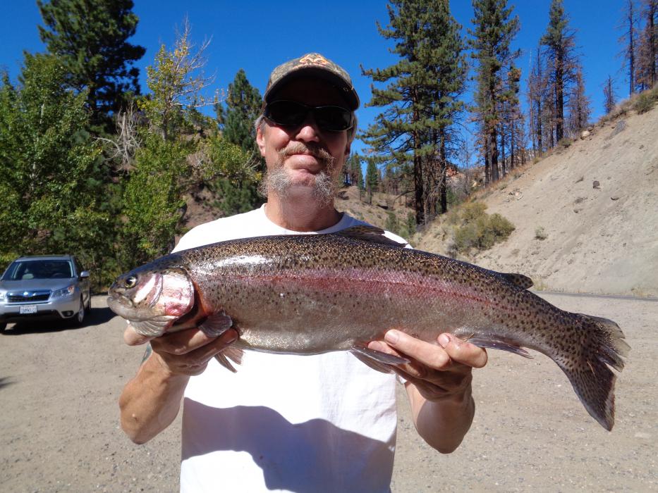 Doug Busey, also known as Mac The Naw, with a 7 pound rainbow caught last summer on the East Carson River. 