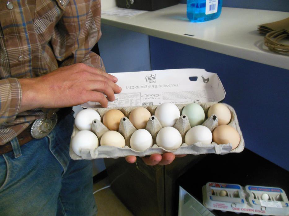 Casey Sipe displays a dozen farm fresh eggs from the retail store.