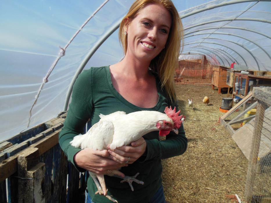 Rachel Sipe holds a laying hen inside a greenhouse on Eagle Valley Farm.