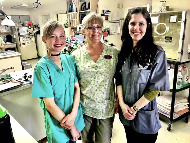 Kaydence Daniels, Margie Quirk and Dr. Katie at Lone Mountain Vet Hospital