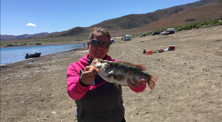 Jennifer Dow from Carson City with a 4 pound, 16 inch Sacramento Perch from Pyramid