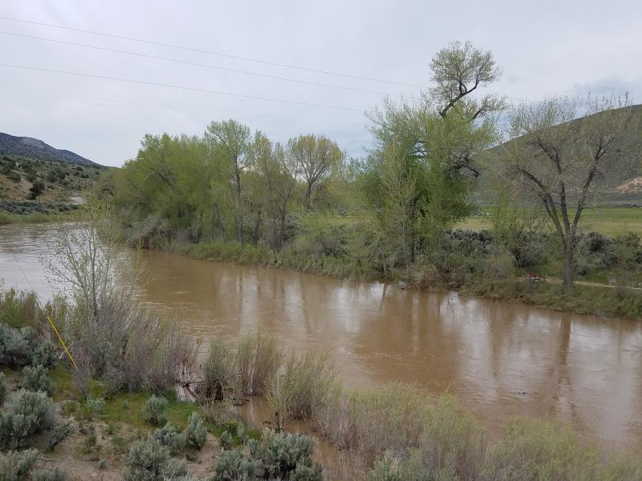 The Carson River Saturday morning, facing southwest.