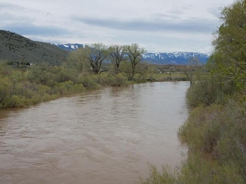 Photos by Brett Fisher. The Carson River Saturday morning, facing northwest.