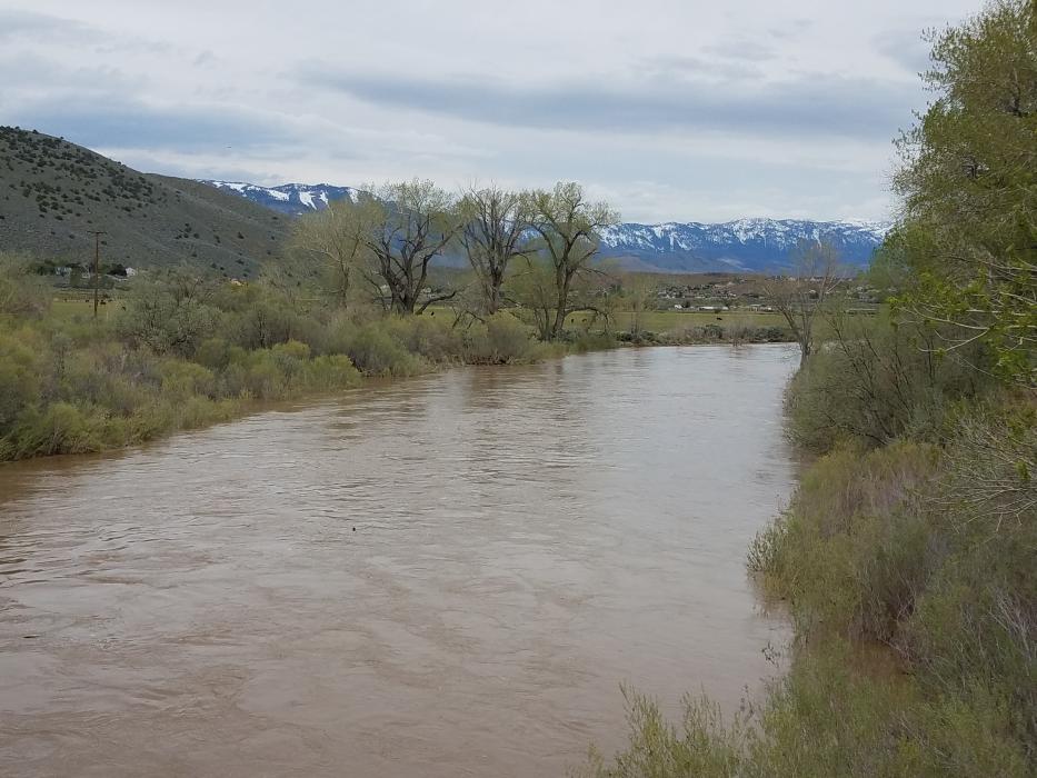 Photos by Brett Fisher. The Carson River Saturday morning, facing northwest.