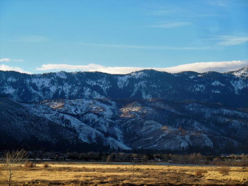 Photo by Brett Fisher. A portion of the burn area of last fall's Little Valley Fire in Western Washoe Valley.