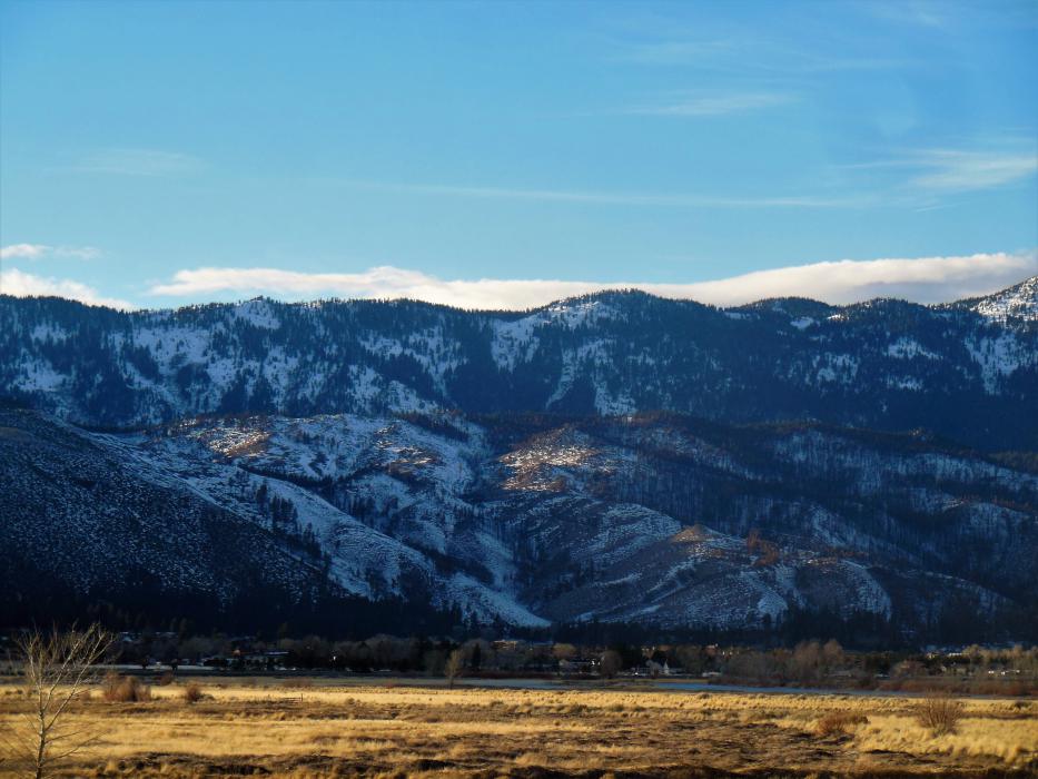 Photo by Brett Fisher. A portion of the burn area of last fall's Little Valley Fire in Western Washoe Valley.