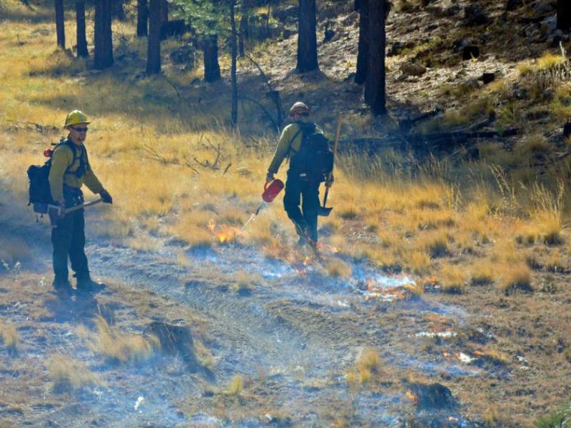 U.S. Forest Service photo.