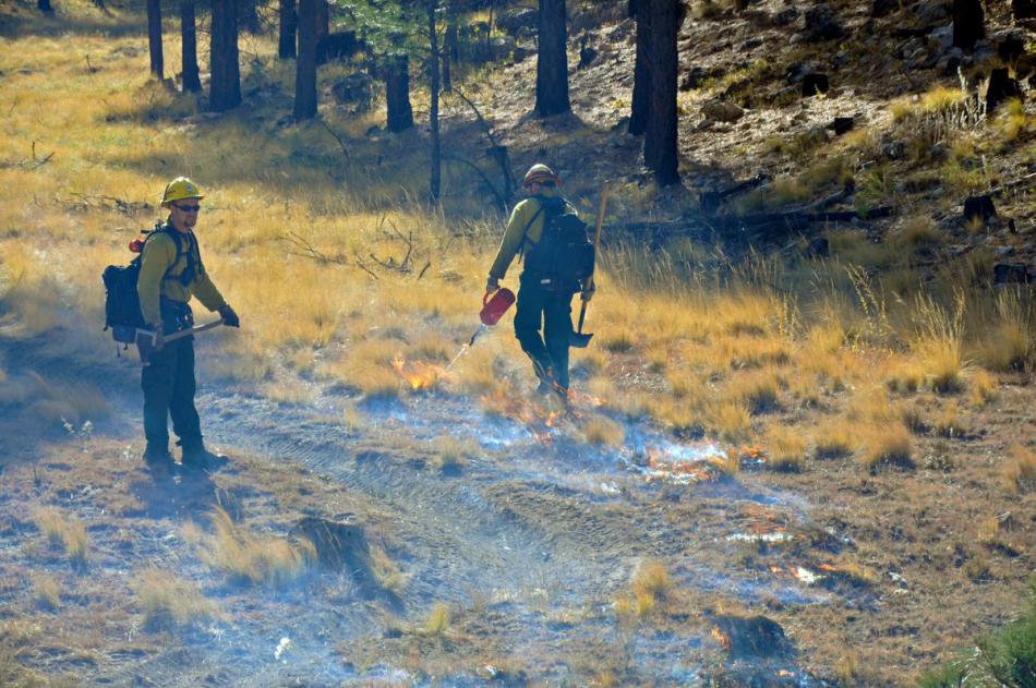 U.S. Forest Service photo.