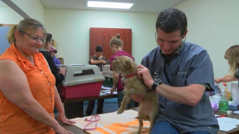 Dr. Pulver of Timberline Veterinary Hospital