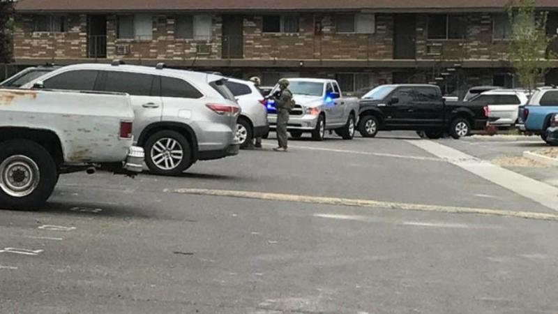 Photo courtesy of Carson City Sheriff's Office