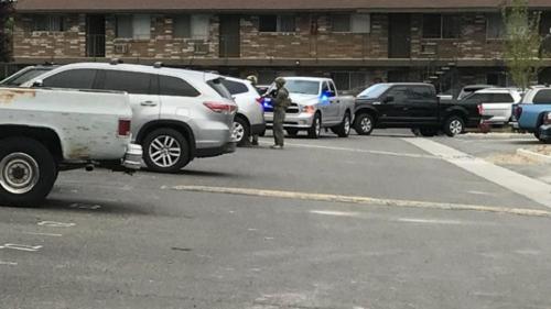 Photo courtesy of Carson City Sheriff's Office
