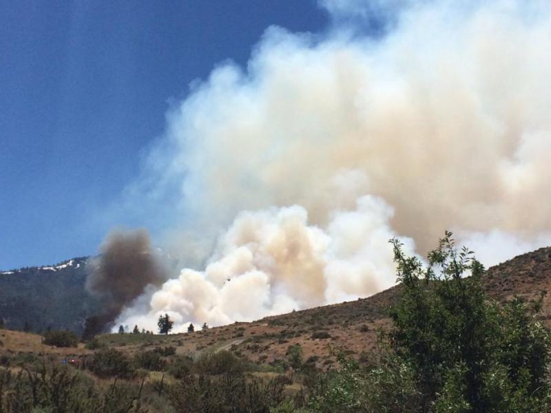 Photo courtesy of Reno Police Department