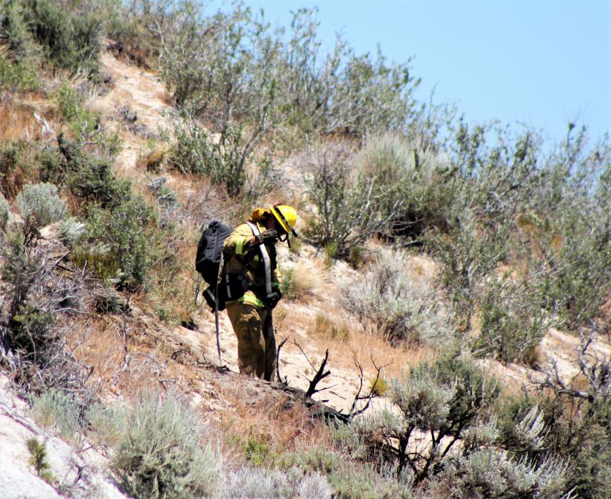 A lone firefighter in front of one of the hot spots. Photo by Brett Fisher