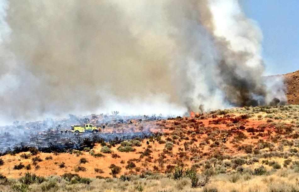 The fire is burning near Cold Springs off of Highway 395. Photo courtesy, Truckee Meadows Fire 