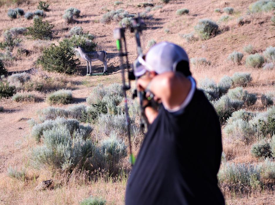 An archer shoots at a 3-D deer target.