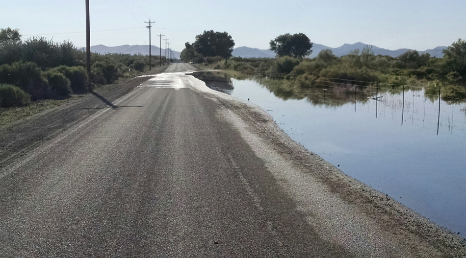 This photo of Miller Lane was taken June 6. All roads except Miller Lane are open at this time.