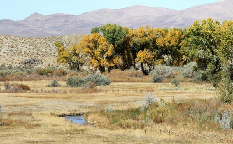 Walker River State Recreation Area is Nevada's newest state park.