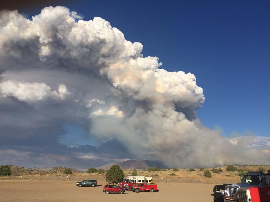 Photo Courtesy, Douglas County Sheriff's Office.