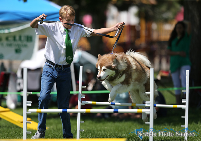 Tristin LaFever and his dog Tundra run the dog agility course. Cathleen Allison, Nevada Photo Source