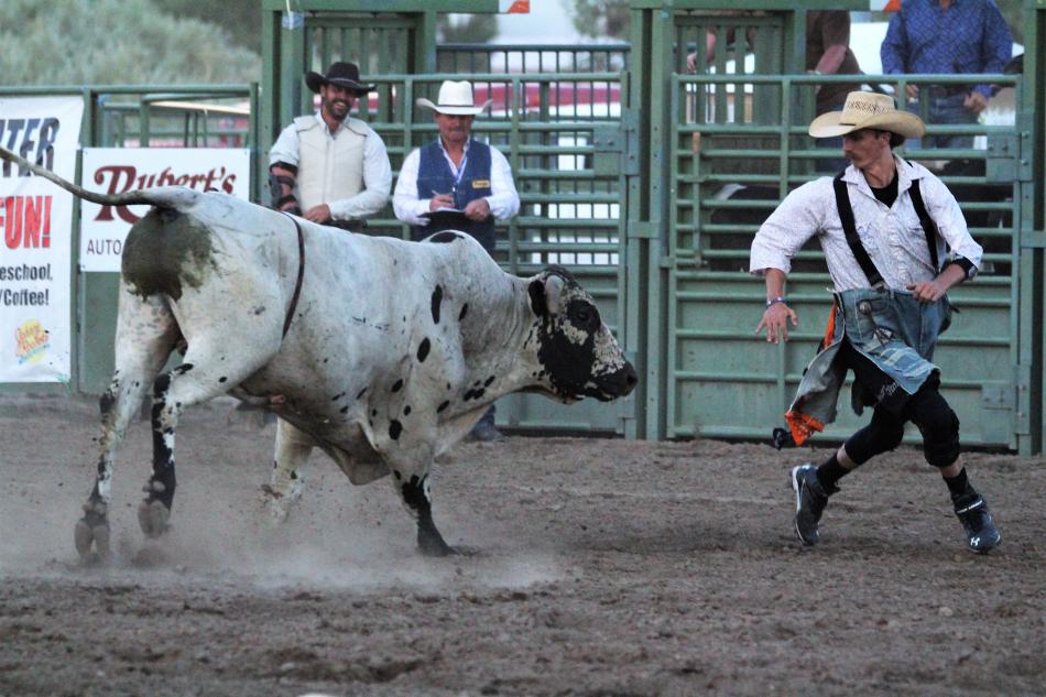 A bullfighter entices a bull to chase him toward the exit chute.