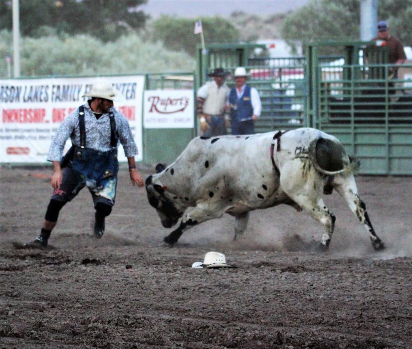 A bull charges a bullfighter Friday.