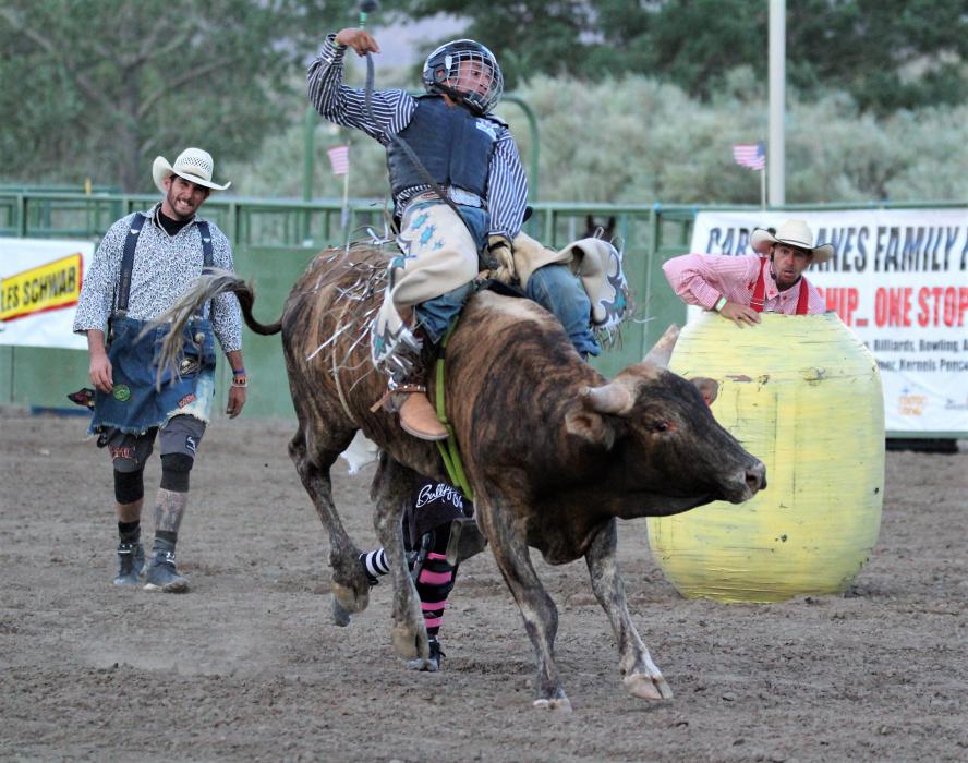 A junior bull rider on a young bull Friday.