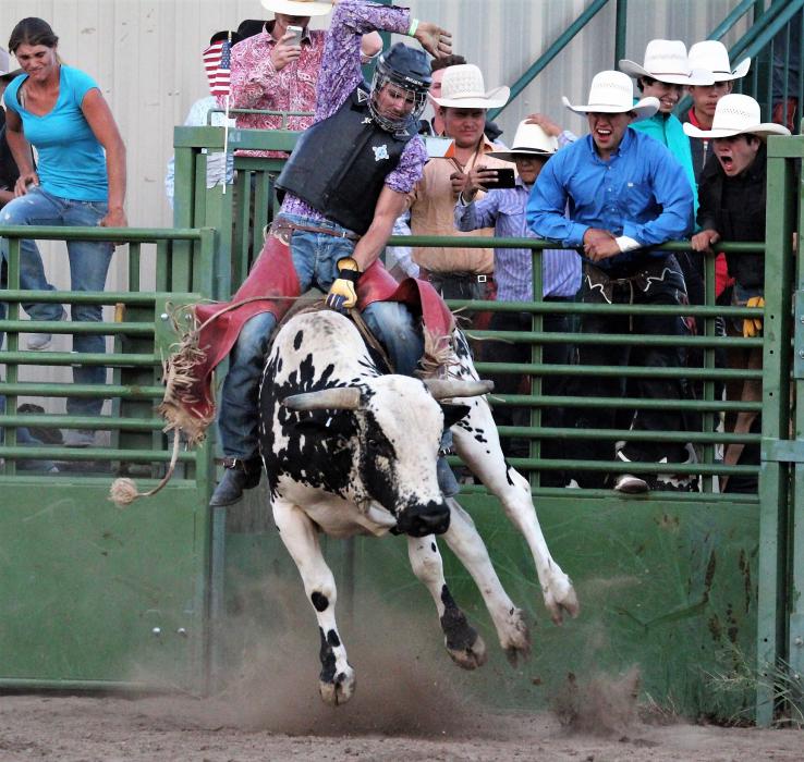 Photos by Brett Fisher. A bull and its rider kick out of the chute Friday evening at Carson City's rodeo arena.