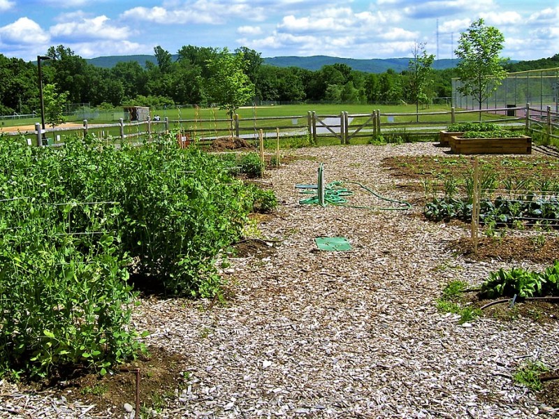 Organic horticulture, courtesy Wikipedia