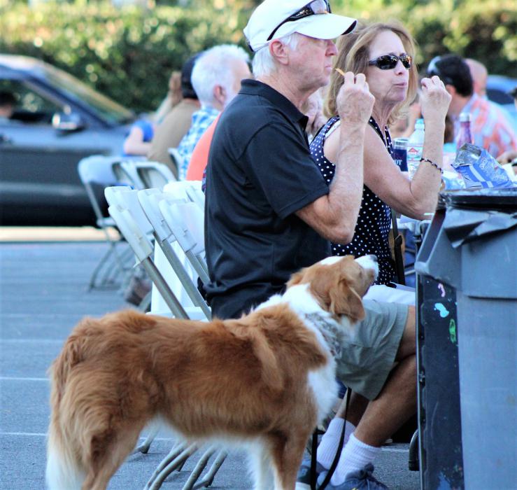 Photos by Brett Fisher. A diner's dog looks to get in on the food action Wednesday evening at the BAC.