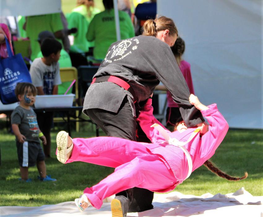 A martial arts demonstration during Northern Nevada Family Fun Day Saturday in Mills Park.