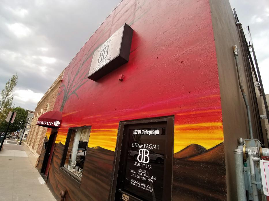 Photos by Brett Fisher. A mural painted by Mauricio Sandoval on W. Telegraph St.