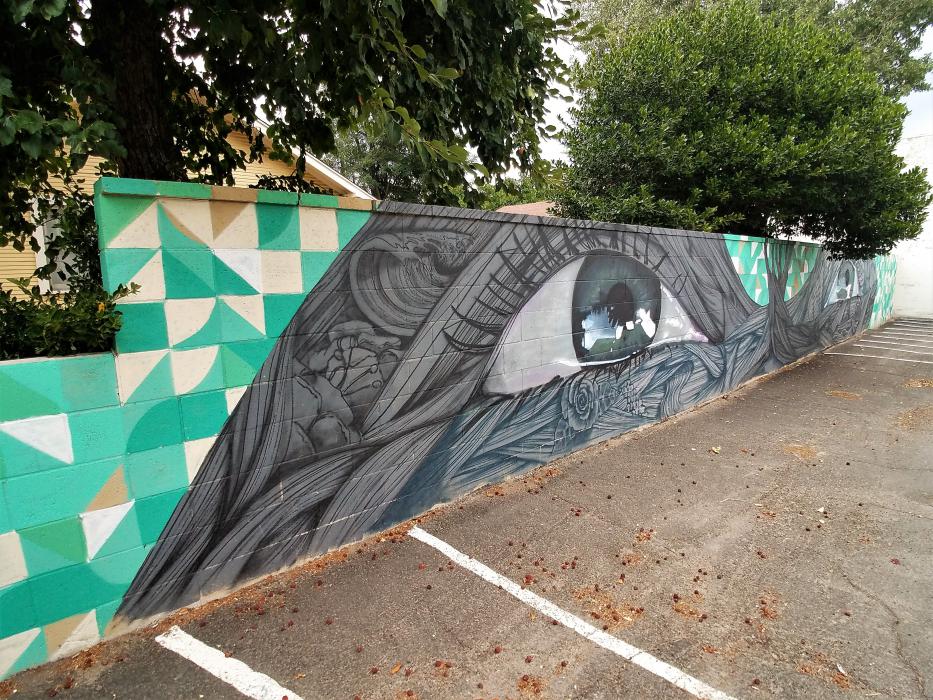 A mural in the parking lot at the corner of Ann and Curry streets.