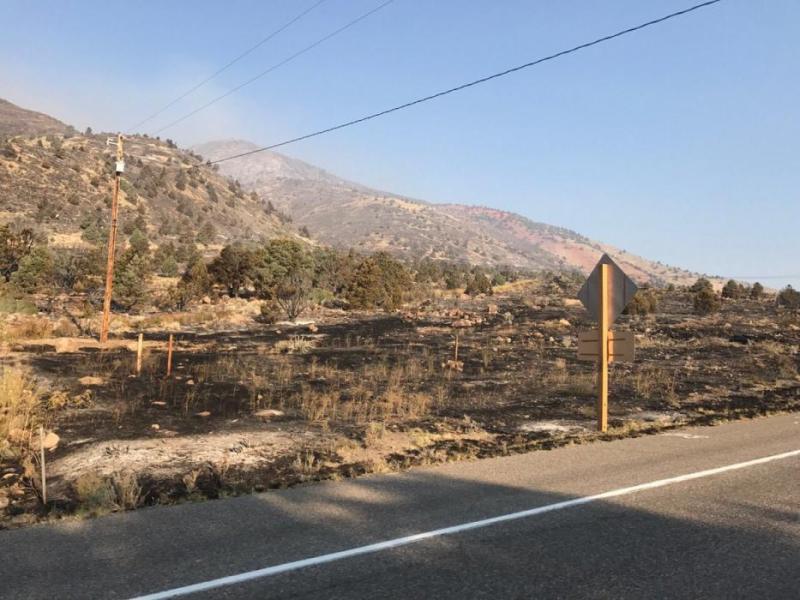 Firefighters had reached 49 percent containment of the Slinkard Fire by Monday morning. DCSO photo