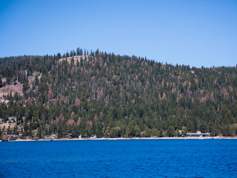 Photo courtesy of Tahoe Fund
