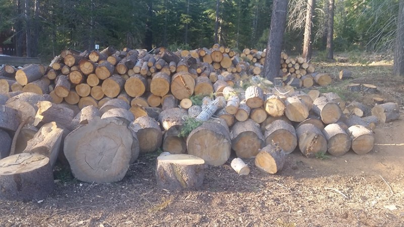 The firewood is made available by the Nevada Division of Forestry.