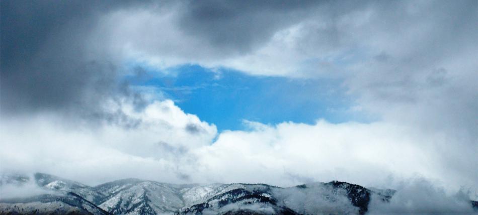 Photo by Scott McDaniel. Click for full scale.