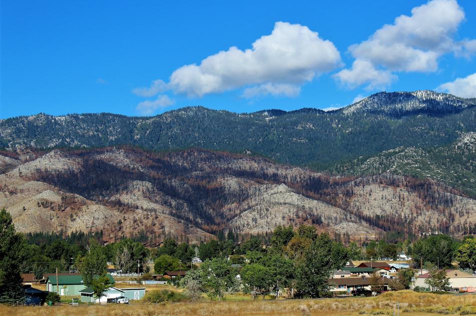 Photo by Brett Fisher. The Little Valley Fire burn scar in Washoe Valley.