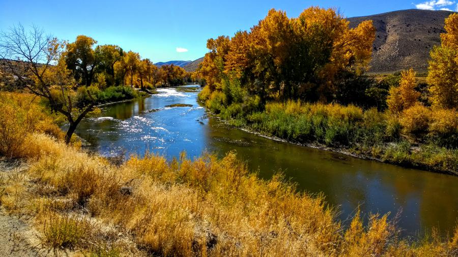 Carson river