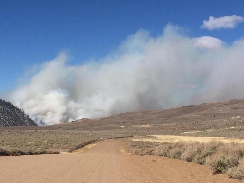 The Chris Fire is burning 5 miles north of Sonora Junction in Mono County. U.S. Forest Service photo
