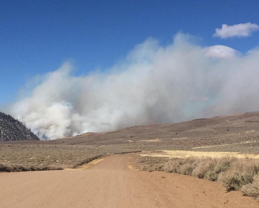 The Chris Fire is burning 5 miles north of Sonora Junction in Mono County. U.S. Forest Service photo