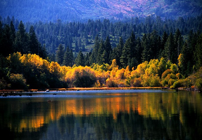 Fallen Leaf Lake photo via Carson Now reader George Custer