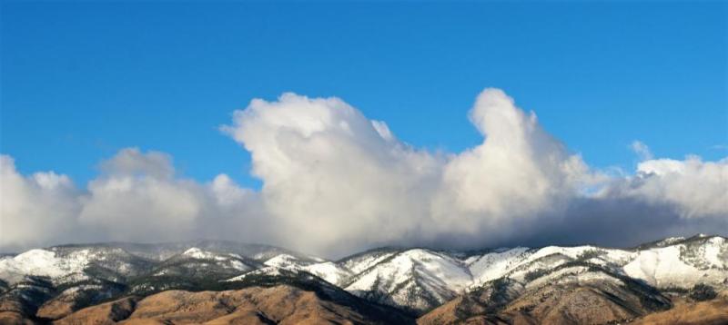 Morning after the storm photo courtesy of Scott McDaniel. Click for full size.